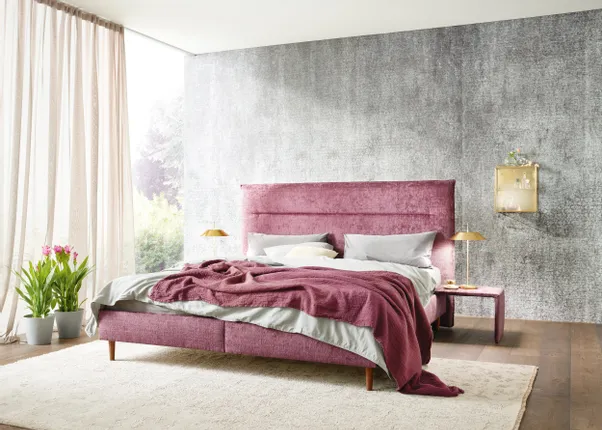 Modernes Schlafzimmer mit violettem Polsterbett, grauer Wand und hellem Tageslicht