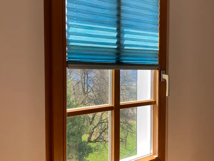 Holzrahmenfenster mit blauem Plissee-Rollo und Blick auf Garten mit Bäumen