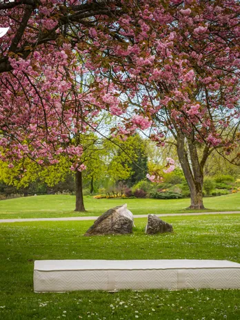 Naturlatexmatratze von Elky unter blühendem Kirschbaum im grünen Park