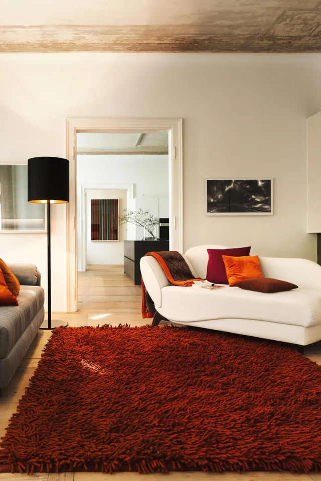 Modernes Wohnzimmer mit Kamin, roten Akzenten und stilvollem Sofa auf flauschigem Teppich