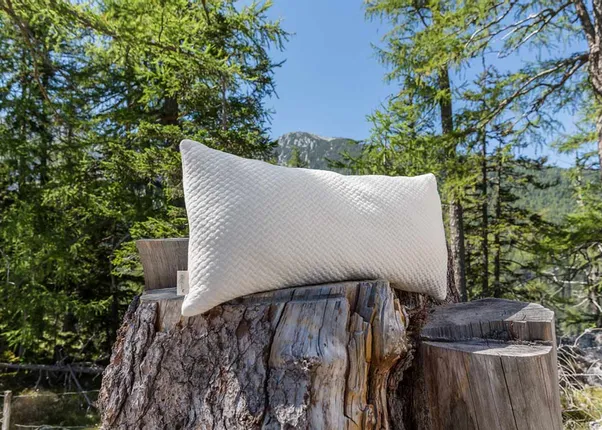 Weißes Kopfkissen mit Strukturbezug auf Baumstumpf in Waldlandschaft bei Sonnenschein